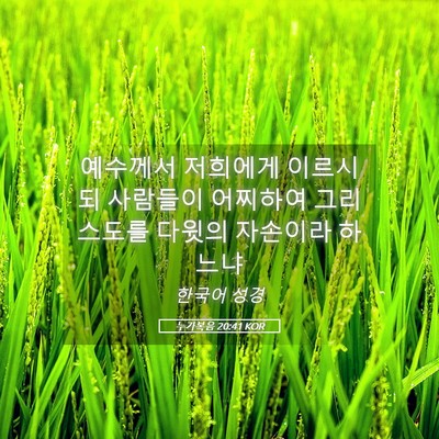 Picture 05 - 누가복음 20:41 KOR - 예수께서 저희에게 이르시되 - Bible Verse Picture