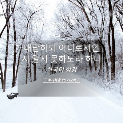 Picture 05 - 누가복음 20:7 KOR - 대답하되 어디로서인지 알지 - Bible Verse Picture