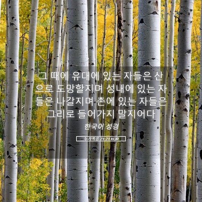 Picture 05 - 누가복음 21:21 KOR - 그 때에 유대에 있는 자들은 산으로 - Bible Verse Picture