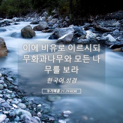 Picture 05 - 누가복음 21:29 KOR - 이에 비유로 이르시되 무화과나무와 - Bible Verse Picture