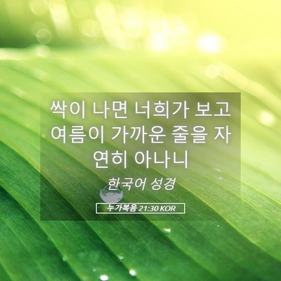 Picture 05 - 누가복음 21:30 KOR - 싹이 나면 너희가 보고 여름이 - Bible Verse Picture