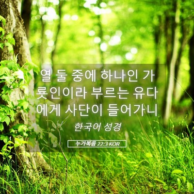 Picture 05 - 누가복음 22:3 KOR - 열 둘 중에 하나인 가룟인이라 - Bible Verse Picture
