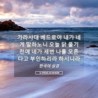 Picture 05 - 누가복음 22:34 KOR - 가라사대 베드로야 내가 네게 - Bible Verse Picture