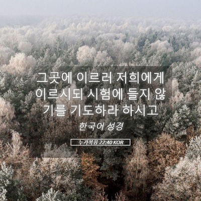 Picture 05 - 누가복음 22:40 KOR - 그곳에 이르러 저희에게 이르시되 - Bible Verse Picture
