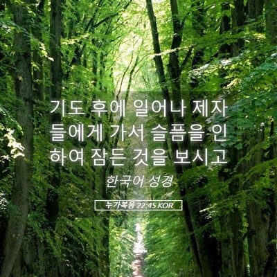 Picture 05 - 누가복음 22:45 KOR - 기도 후에 일어나 제자들에게 가서 - Bible Verse Picture