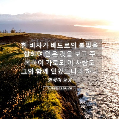 Picture 05 - 누가복음 22:56 KOR - 한 비자가 베드로의 불빛을 향하여 - Bible Verse Picture