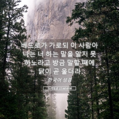 Picture 05 - 누가복음 22:60 KOR - 베드로가 가로되 이 사람아 나는 너 - Bible Verse Picture