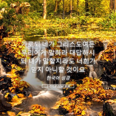 Picture 05 - 누가복음 22:67 KOR - 가로되 네가 그리스도여든 우리에게 - Bible Verse Picture