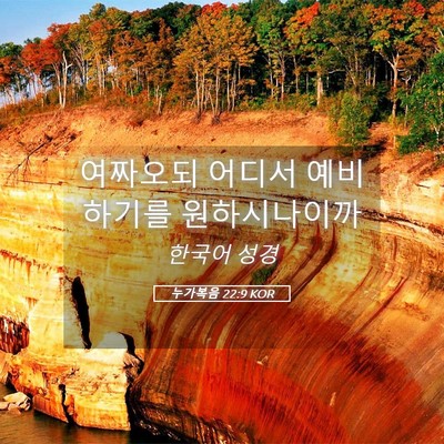 Picture 05 - 누가복음 22:9 KOR - 여짜오되 어디서 예비하기를 - Bible Verse Picture