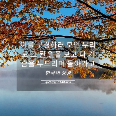 Picture 05 - 누가복음 23:48 KOR - 이를 구경하러 모인 무리도 그 된 - Bible Verse Picture