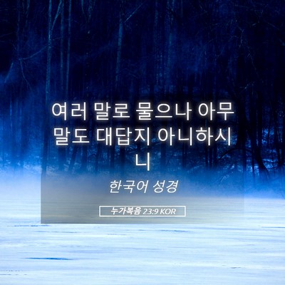 Picture 05 - 누가복음 23:9 KOR - 여러 말로 물으나 아무 말도 대답지 - Bible Verse Picture