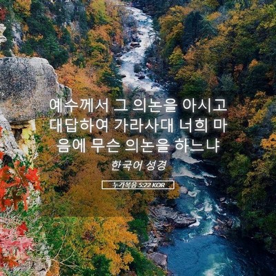 Picture 05 - 누가복음 5:22 KOR - 예수께서 그 의논을 아시고 대답하여 - Bible Verse Picture