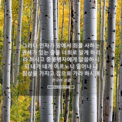 Picture 05 - 누가복음 5:24 KOR - 그러나 인자가 땅에서 죄를 사하는 - Bible Verse Picture