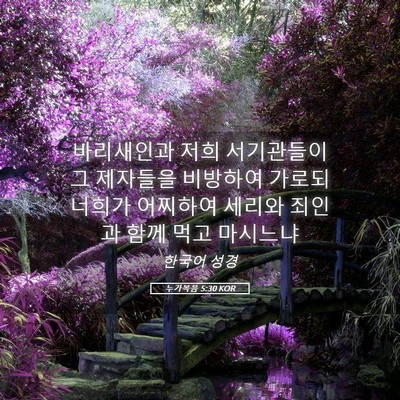 Picture 05 - 누가복음 5:30 KOR - 바리새인과 저희 서기관들이 그 - Bible Verse Picture