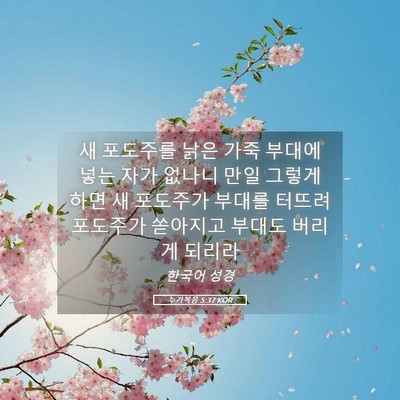 Picture 05 - 누가복음 5:37 KOR - 새 포도주를 낡은 가죽 부대에 넣는 - Bible Verse Picture