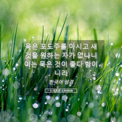 Picture 05 - 누가복음 5:39 KOR - 묵은 포도주를 마시고 새 것을 - Bible Verse Picture