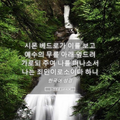 Picture 05 - 누가복음 5:8 KOR - 시몬 베드로가 이를 보고 예수의 - Bible Verse Picture