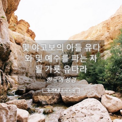 Picture 05 - 누가복음 6:16 KOR - 및 야고보의 아들 유다와 및 예수를 - Bible Verse Picture