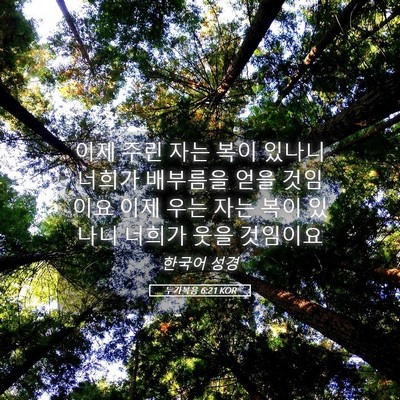 Picture 05 - 누가복음 6:21 KOR - 이제 주린 자는 복이 있나니 너희가 - Bible Verse Picture