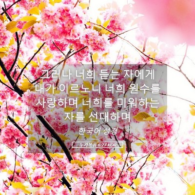 Picture 05 - 누가복음 6:27 KOR - 그러나 너희 듣는 자에게 내가 - Bible Verse Picture