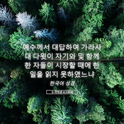 Picture 05 - 누가복음 6:3 KOR - 예수께서 대답하여 가라사대 다윗이 - Bible Verse Picture