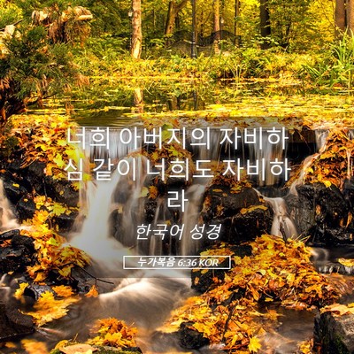Picture 05 - 누가복음 6:36 KOR - 너희 아버지의 자비하심 같이 너희도 - Bible Verse Picture