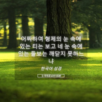 Picture 05 - 누가복음 6:41 KOR - 어찌하여 형제의 눈 속에 있는 티는 - Bible Verse Picture