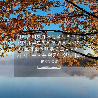 Picture 05 - 누가복음 7:25 KOR - 그러면 너희가 무엇을 보려고 - Bible Verse Picture