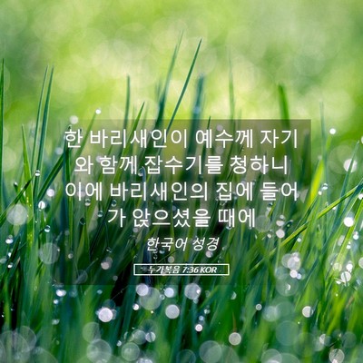 Picture 05 - 누가복음 7:36 KOR - 한 바리새인이 예수께 자기와 함께 - Bible Verse Picture