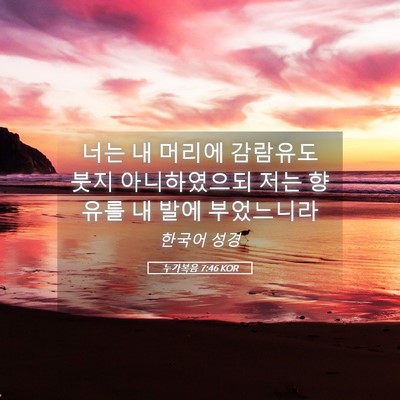 Picture 05 - 누가복음 7:46 KOR - 너는 내 머리에 감람유도 붓지 - Bible Verse Picture