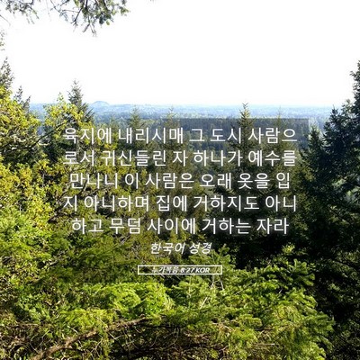 Picture 05 - 누가복음 8:27 KOR - 육지에 내리시매 그 도시 사람으로서 - Bible Verse Picture