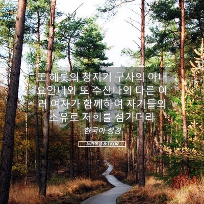 Picture 05 - 누가복음 8:3 KOR - 또 헤롯의 청지기 구사의 아내 - Bible Verse Picture
