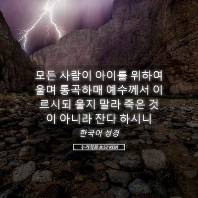 Picture 05 - 누가복음 8:52 KOR - 모든 사람이 아이를 위하여 울며 - Bible Verse Picture