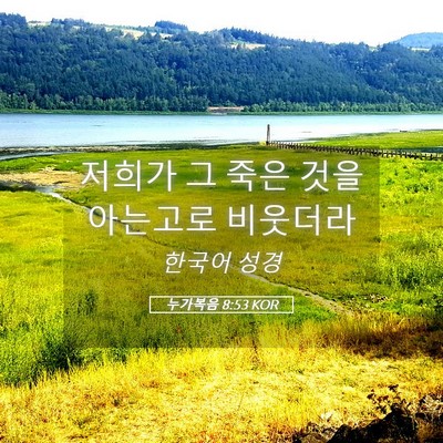 Picture 05 - 누가복음 8:53 KOR - 저희가 그 죽은 것을 아는고로 - Bible Verse Picture