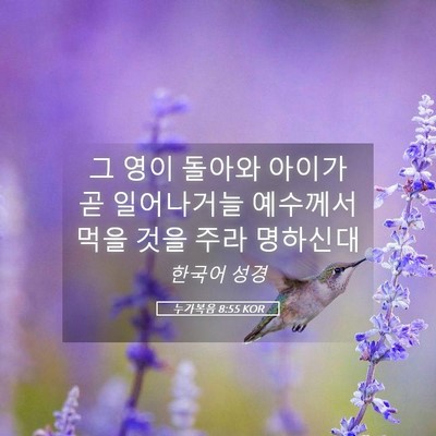 Picture 05 - 누가복음 8:55 KOR - 그 영이 돌아와 아이가 곧 - Bible Verse Picture
