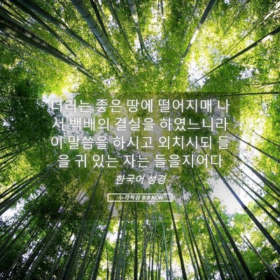Picture 05 - 누가복음 8:8 KOR - 더러는 좋은 땅에 떨어지매 나서 - Bible Verse Picture