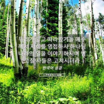 Picture 05 - 누가복음 9:11 KOR - 무리가 알고 따라왔거늘 예수께서 - Bible Verse Picture