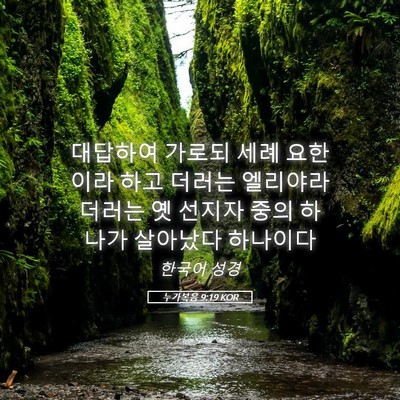 Picture 05 - 누가복음 9:19 KOR - 대답하여 가로되 세례 요한이라 하고 - Bible Verse Picture