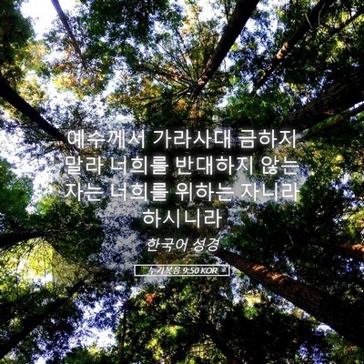 Picture 05 - 누가복음 9:50 KOR - 예수께서 가라사대 금하지 말라 - Bible Verse Picture