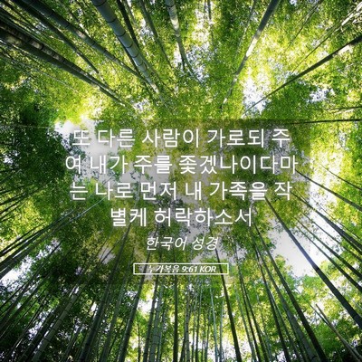 Picture 05 - 누가복음 9:61 KOR - 또 다른 사람이 가로되 주여 내가 - Bible Verse Picture