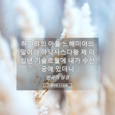 Picture 05 - 느헤미야 1:1 KOR - 하가랴의 아들 느헤미야의 말이라 - Bible Verse Picture