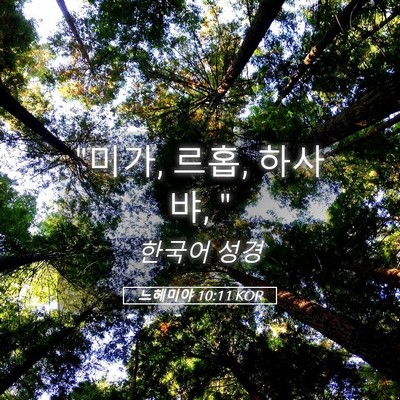 Picture 05 - 느헤미야 10:11 KOR - 