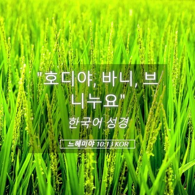 Picture 05 - 느헤미야 10:13 KOR - 