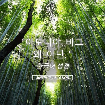 Picture 05 - 느헤미야 10:16 KOR - 
