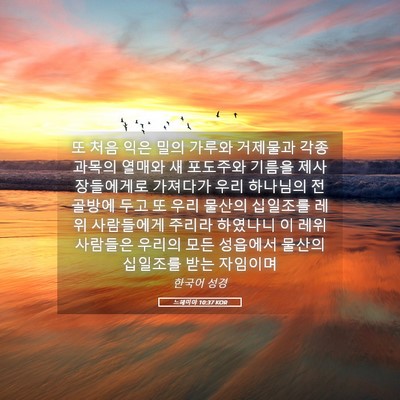 Picture 05 - 느헤미야 10:37 KOR - 또 처음 익은 밀의 가루와 거제물과 - Bible Verse Picture