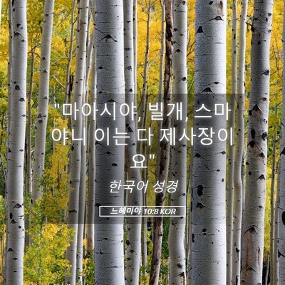 Picture 05 - 느헤미야 10:8 KOR - 