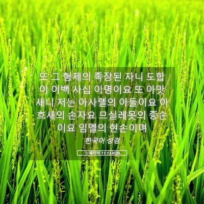 Picture 05 - 느헤미야 11:13 KOR - 또 그 형제의 족장된 자니 도합이 - Bible Verse Picture