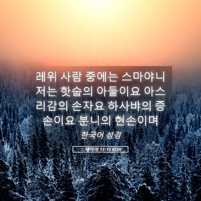 Picture 05 - 느헤미야 11:15 KOR - 레위 사람 중에는 스마야니 저는 - Bible Verse Picture