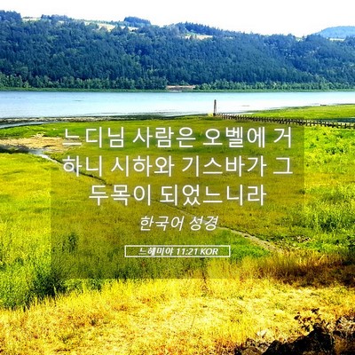 Picture 05 - 느헤미야 11:21 KOR - 느디님 사람은 오벨에 거하니 시하와 - Bible Verse Picture