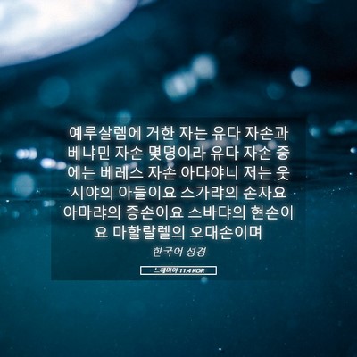 Picture 05 - 느헤미야 11:4 KOR - 예루살렘에 거한 자는 유다 자손과 - Bible Verse Picture